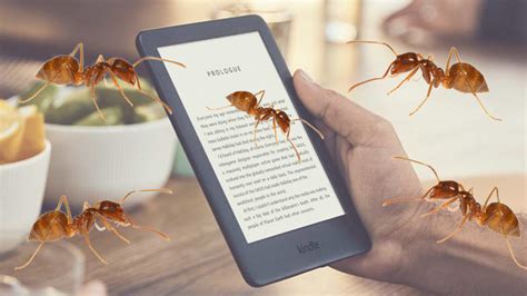 B­i­r­ ­G­r­u­p­ ­­D­e­l­i­ ­K­a­r­ı­n­c­a­­,­ ­İ­s­t­i­l­a­ ­E­t­t­i­k­l­e­r­i­ ­T­a­b­l­e­t­t­e­n­ ­K­i­t­a­p­ ­S­i­p­a­r­i­ş­ ­E­t­t­i­!­ ­[­V­i­d­e­o­]­